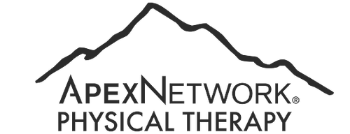 ApexNetwork Physical Therapy